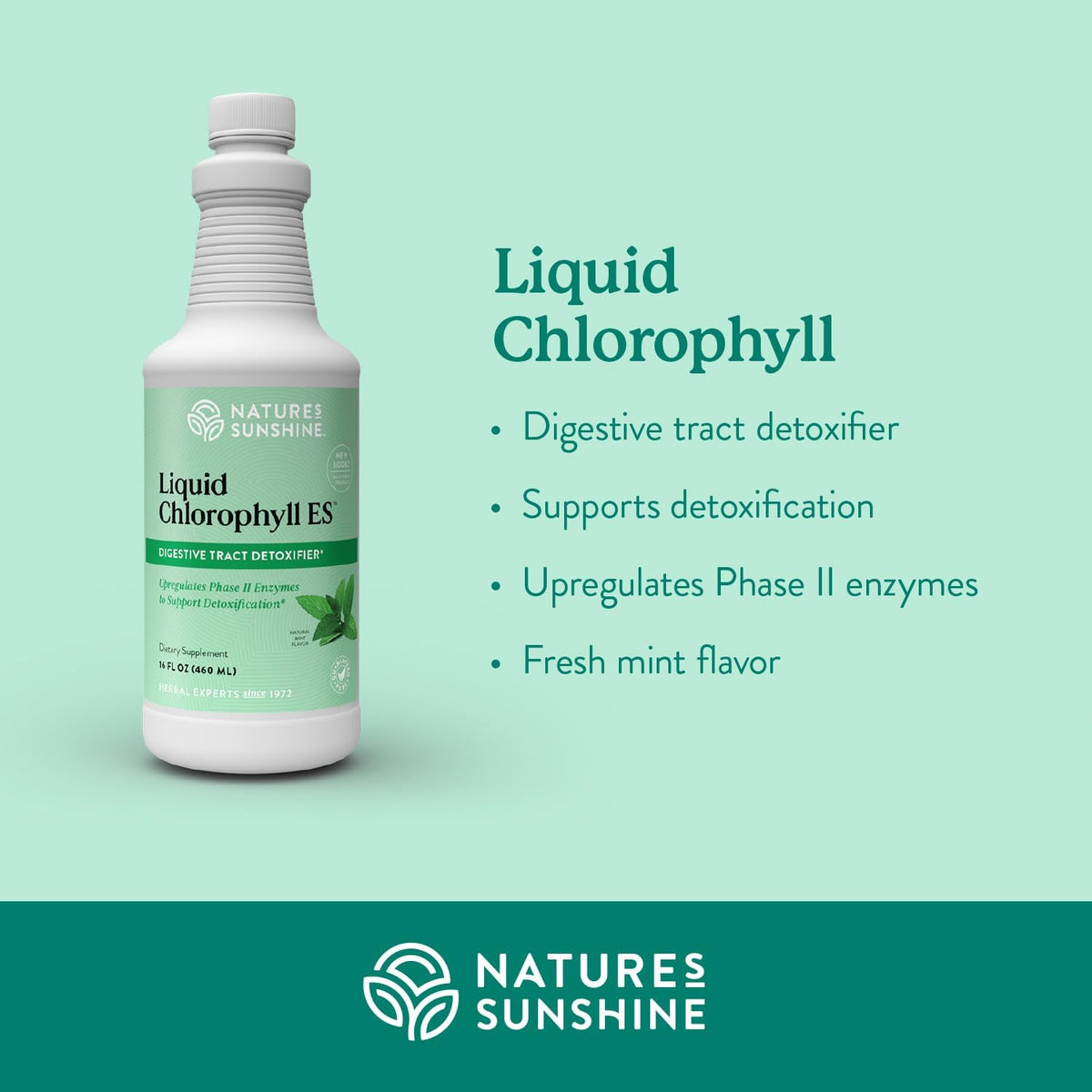 Natures Sunshine Liquid Chlorophyll dietary supplement liquid drops dropper