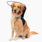 Muffin's Halo Original Blind Dog Halo Harness Size 7 front view on a dog
