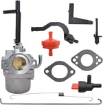 Complete Timunr carburetor kit packaging layout for Briggs and Stratton engines.