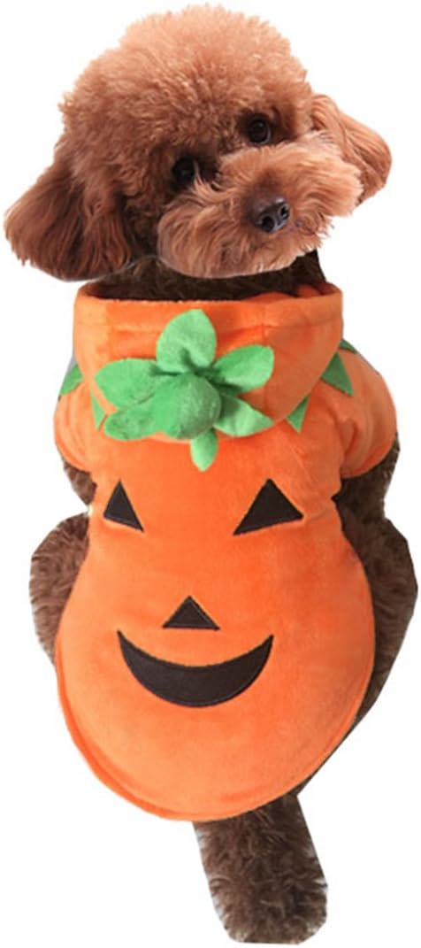 Mogoko dog pumpkin costume front view with hood