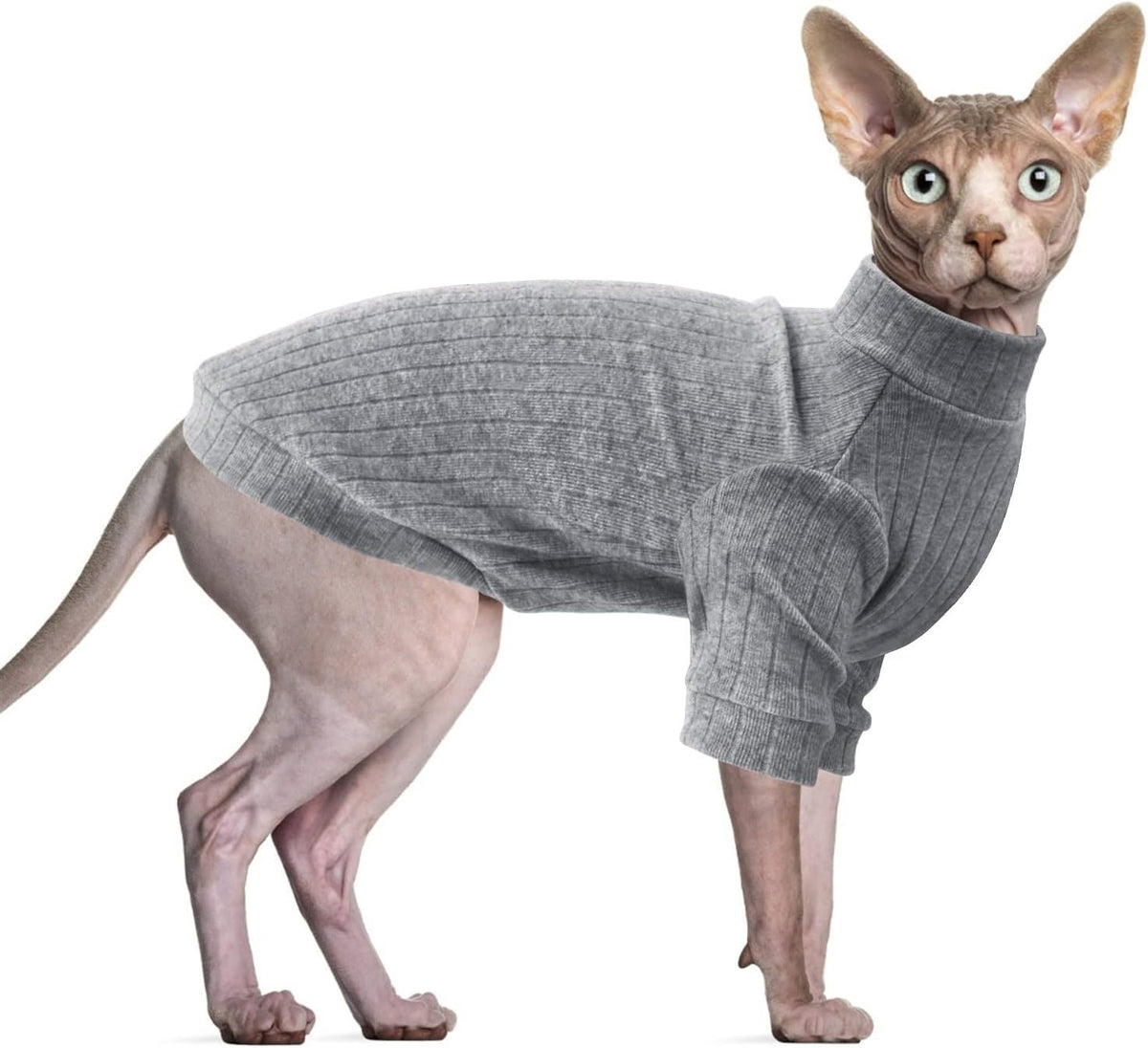 Idepet Sphynx Hairless Cats Sweater Shirt Kitten Soft Puppy Clothes Pullover Cute Cat Pajamas Jumpsuit Cotton Apparel Pet Winter Turtleneck for Cats and Teacup Chihuahua Small Dogs(Green,XS) - Image 13