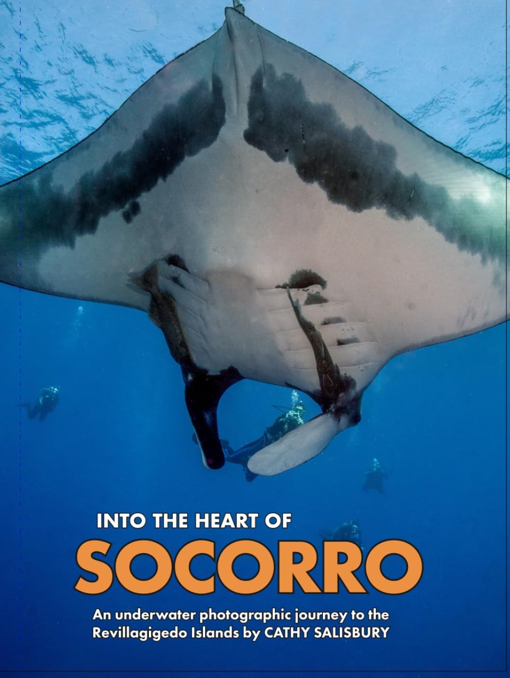 Into the Heart of Socorro: An underwater photographic journey to the Revillagigedo Islands - Image 1