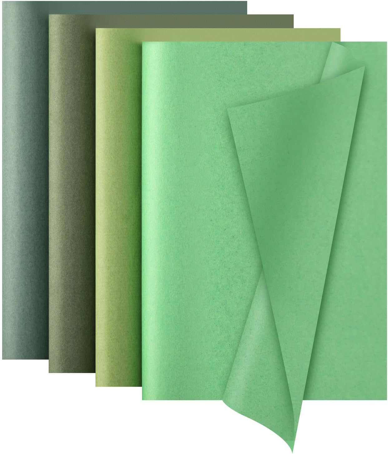 Tinoaly gradient sage green wrapping paper front view packaging