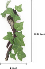 Aqua KT terrarium plant decoration showing suction cup attachment