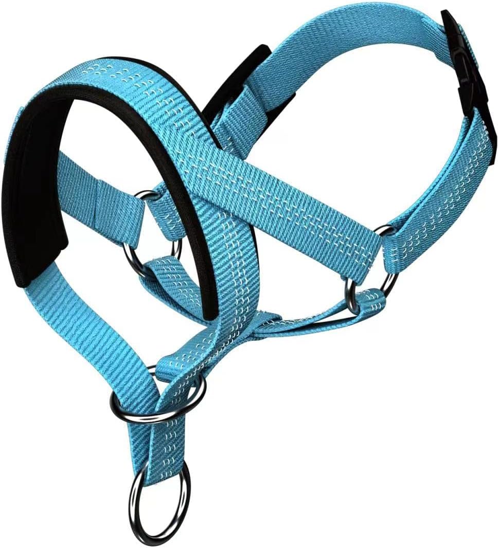 Wintchuk Dog Head Collar with Silk Thread front view blue