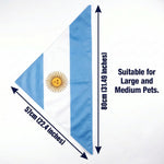 Large dog wearing patriotic Argentina flag triangle bib