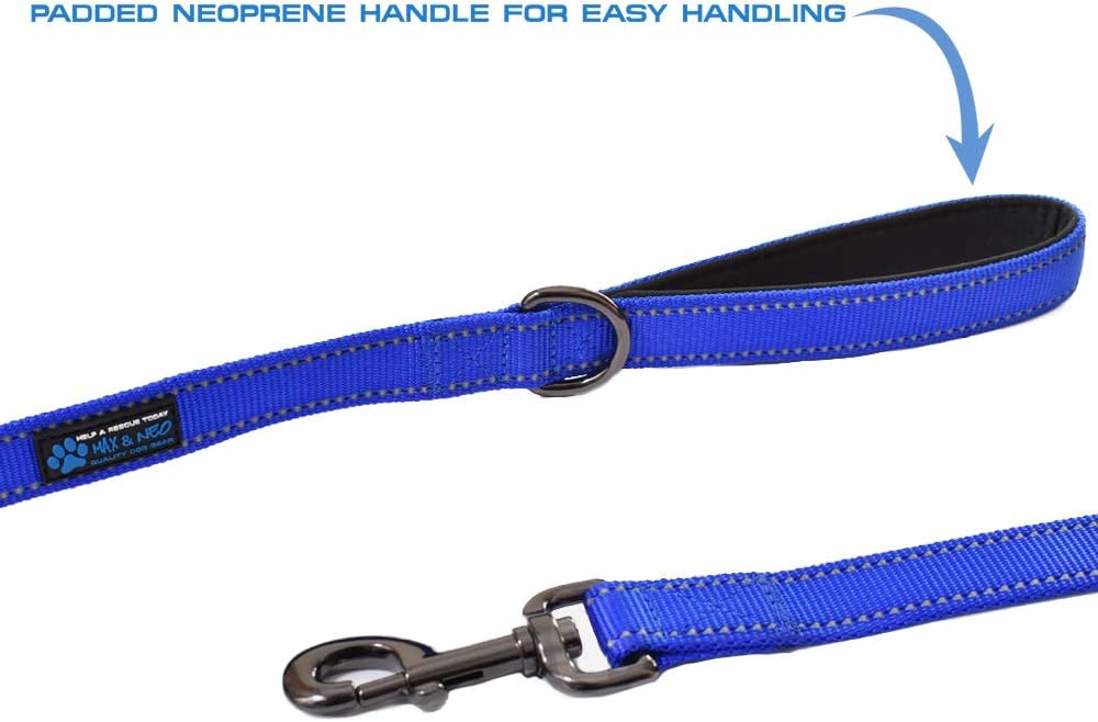 Side view of teal 6 foot dog leash with reflective stitching