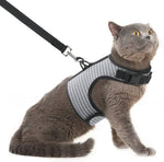 PUPTECK Soft Mesh Cat Vest Harness and Leash Set Puppy Padded Pet Harnesses Escape Proof for Cats Small Dogs (X-Large, Lake Blue) - Image 9