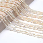 Freshwater pearl loose beads arranged for DIY crafts