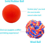 Squeaky rubber ball toy for puppy enrichment