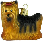 Hanging view of the Old World Christmas Chihuahua dog collection ornament on a tree branch.