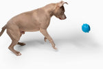 Jolly Pets interactive dog toy side angle view