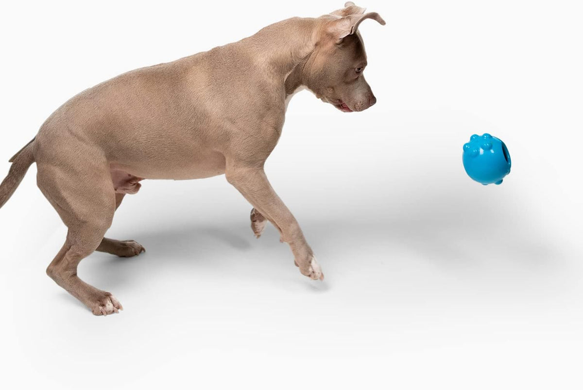 Jolly Pets interactive dog toy side angle view
