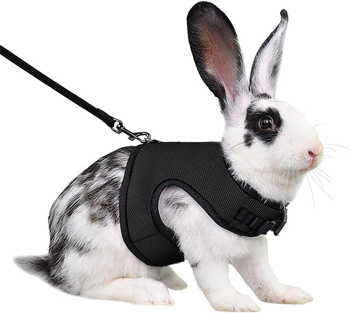 Teleyi escape proof rabbit harness and leash set black medium front view