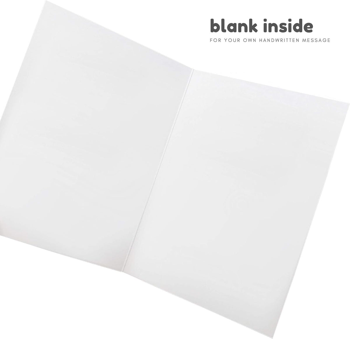 Sleazy Greetings birthday card showing the blank interior writing surface