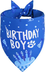 Agroon Dog Birthday Bandana Blue Boy XLarge front view