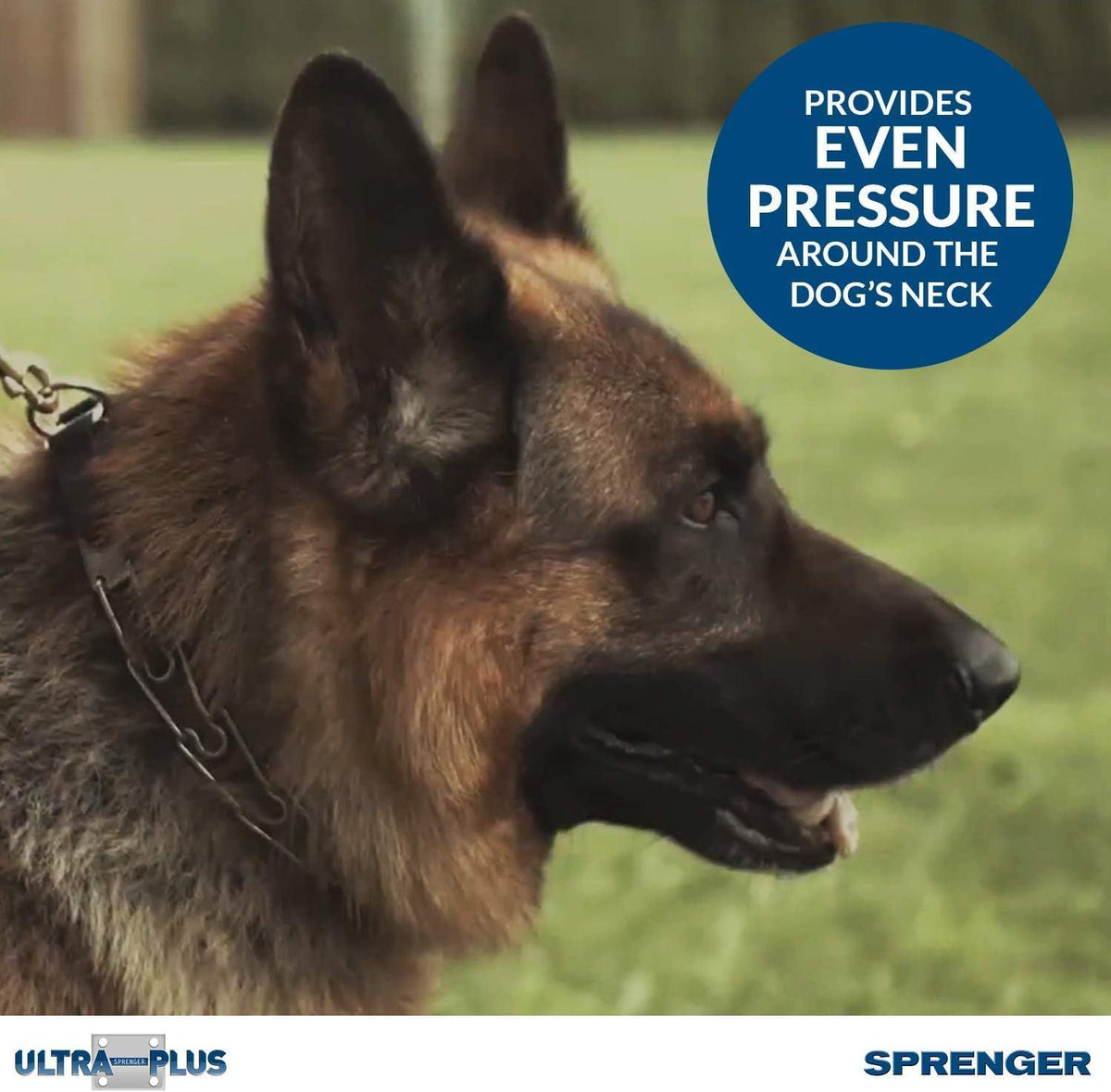 Adjustable three millimeter medium dog training collar laid flat to display the even pressure configuration