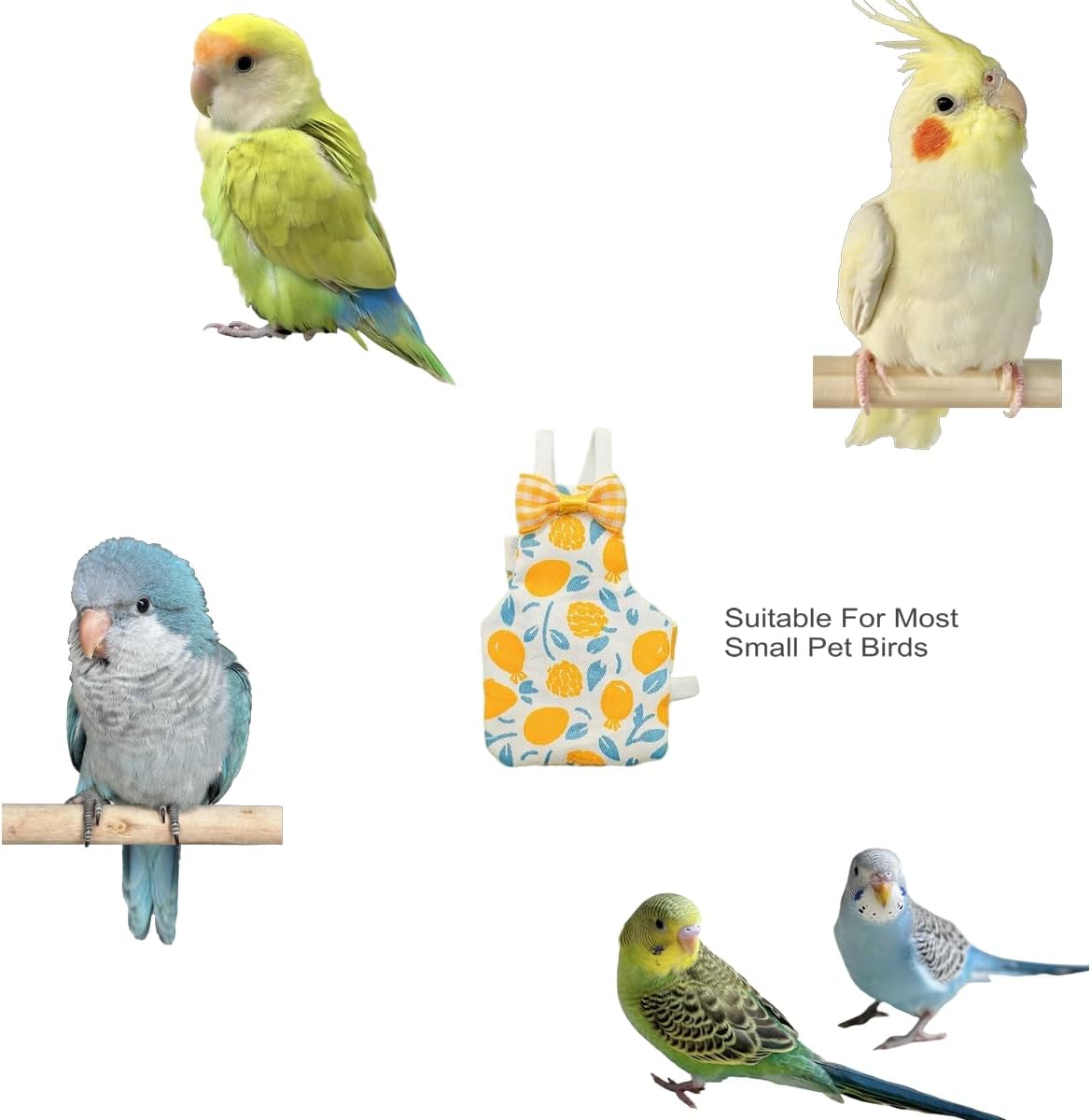 The inner lining compartment of the washable bird diaper where paper towels can be inserted.