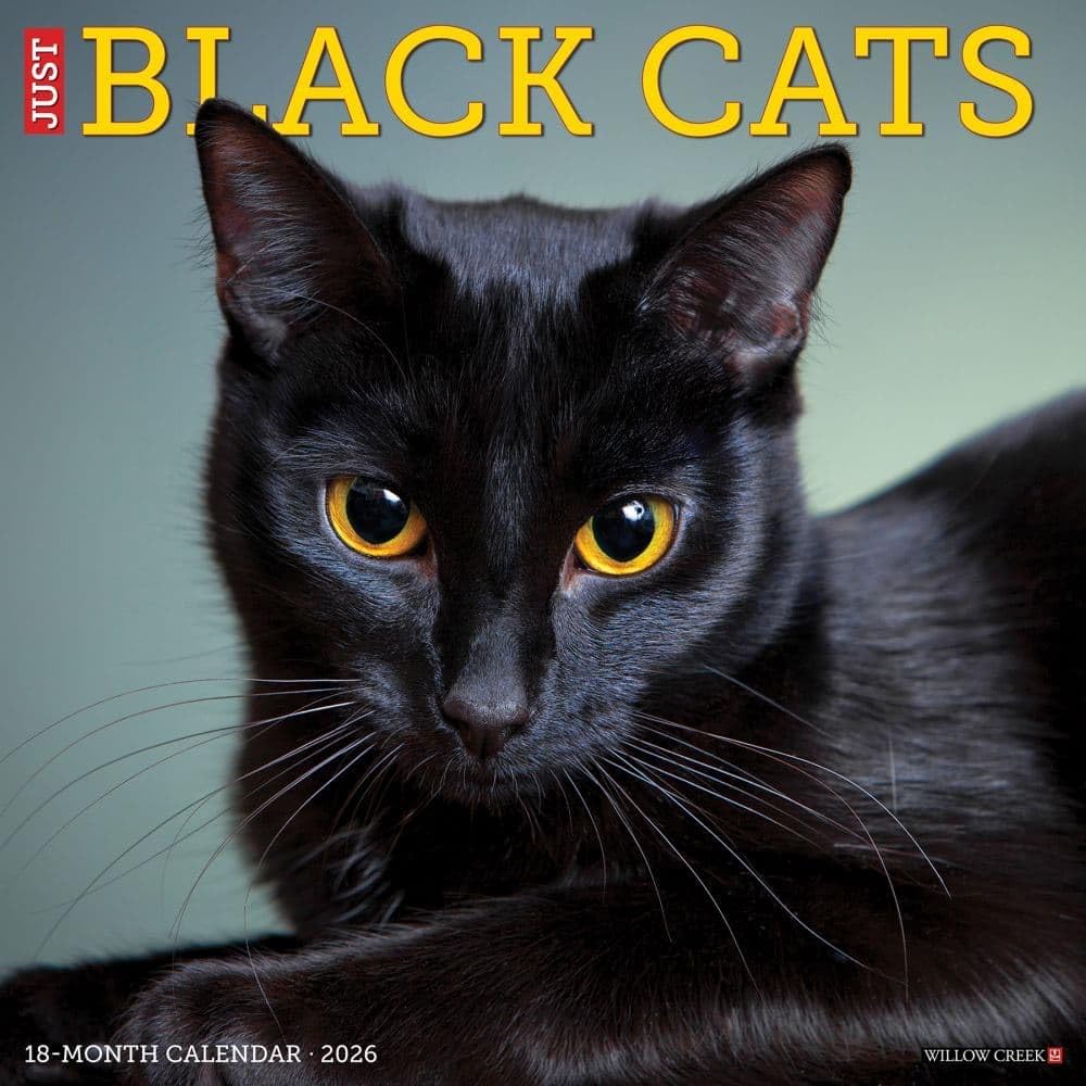 Willow Creek Press, Black Cats 2026 Wall Calendar, 12'' X 12'', 18-Month Calendar with Stapled Binding - Image 1