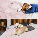 PetAmi Premium Cooling Dog Blanket | Lightweight Fluffy Pet Throw Blanket Bed Cover for Dogs, Cat, Puppies | Pet Blanket Furniture Protector Couch Sofa | Reversible Fuzzy Cozy | 24x32, Light Grey - Image 11