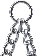 Filhome double dog leash coupler attached to two separate pet collars for training.