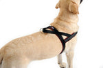 ComfortFlex harness side profile on a medium dog