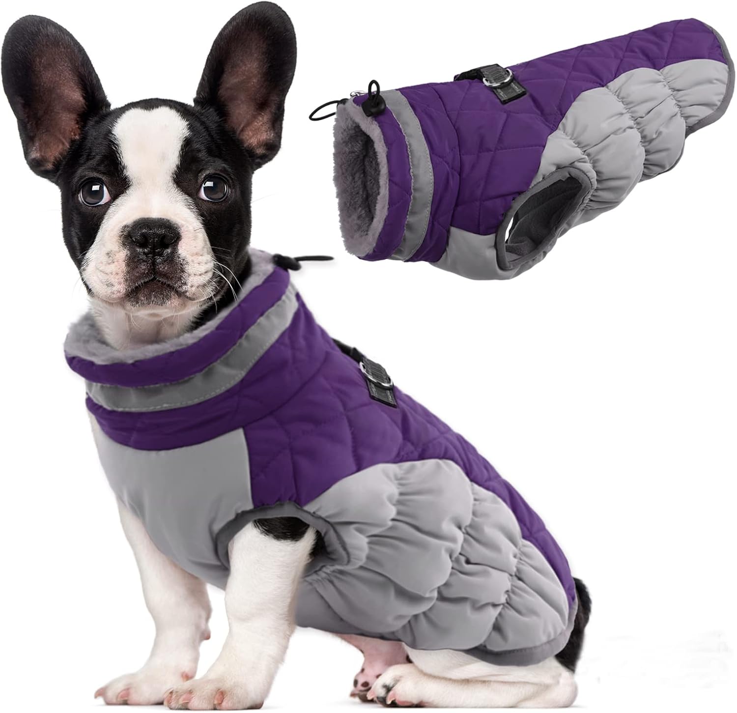 LeLePet warm dog coat front view in purple