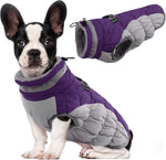 LeLePet warm dog coat front view in purple