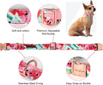 Unique Style Paws cute watermelon printed dog collar with rose gold buckle