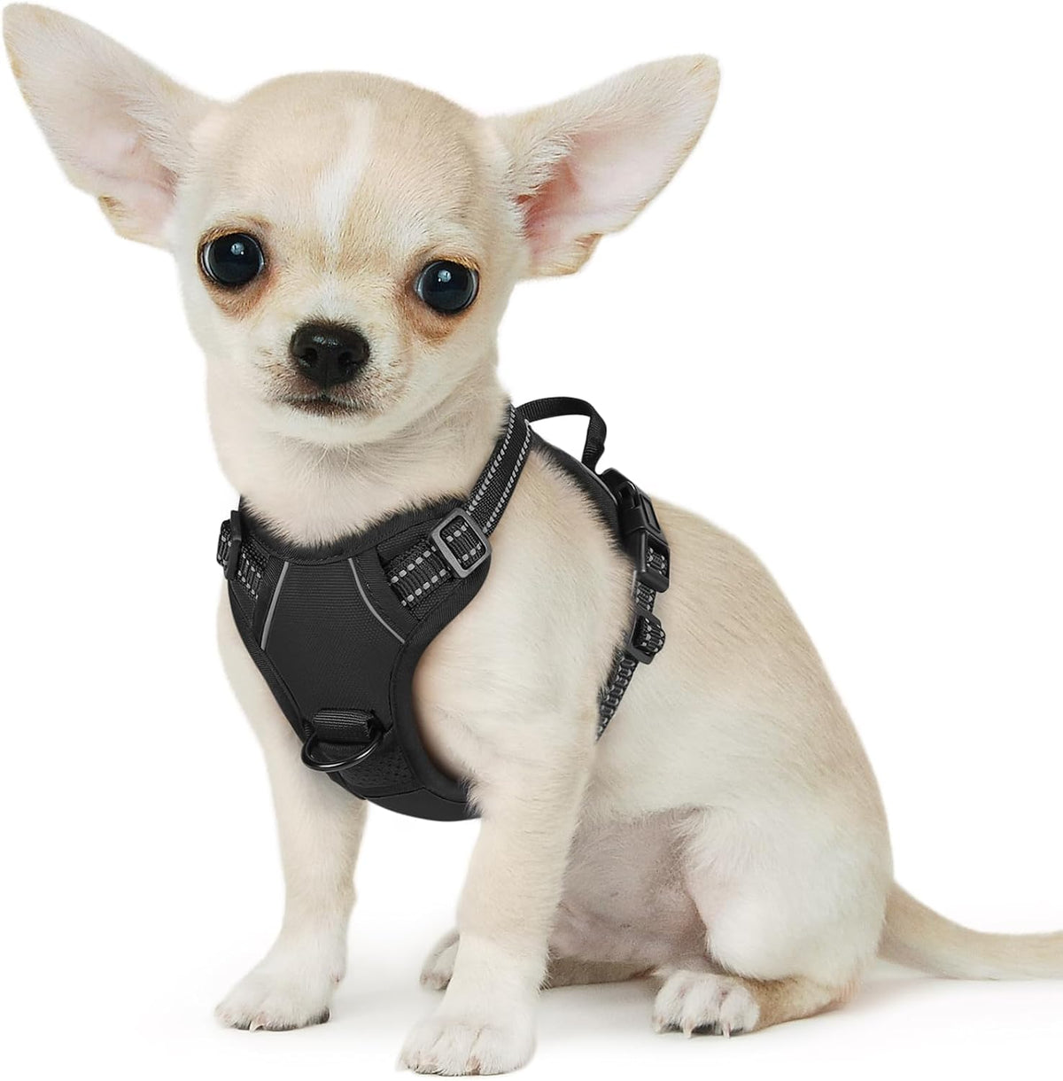 Eagloo dog harness front view showing dual metal leash rings