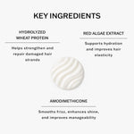 SachaJuan hair repair treatment cap open view