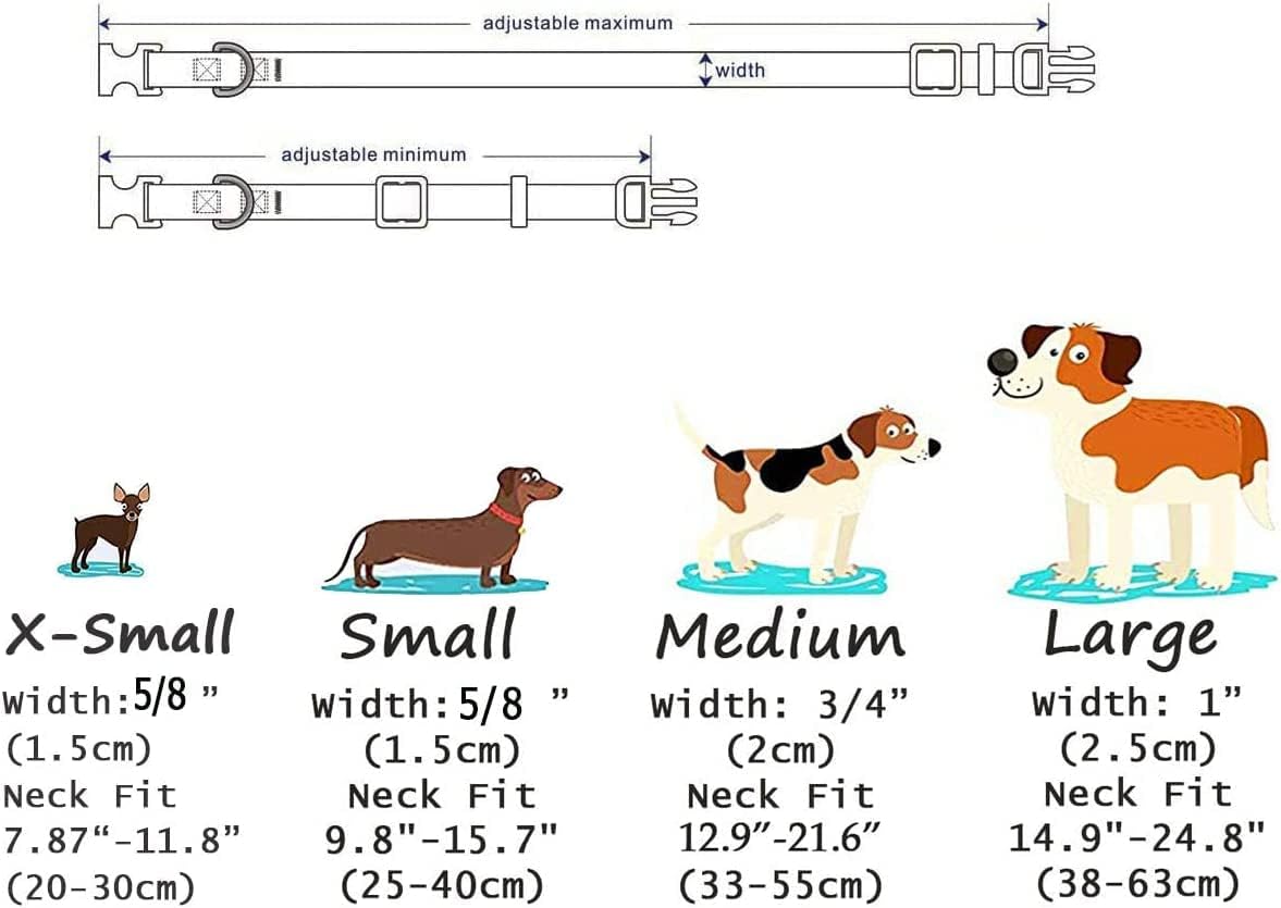 Mihqy American flag dog collar showing quick release plastic buckle