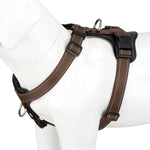 Plutus Pet authentic USA imported premium pet harness packaged safely for Indian consumers