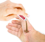 Biolife WoundSeal 4 each pack clinical wound care