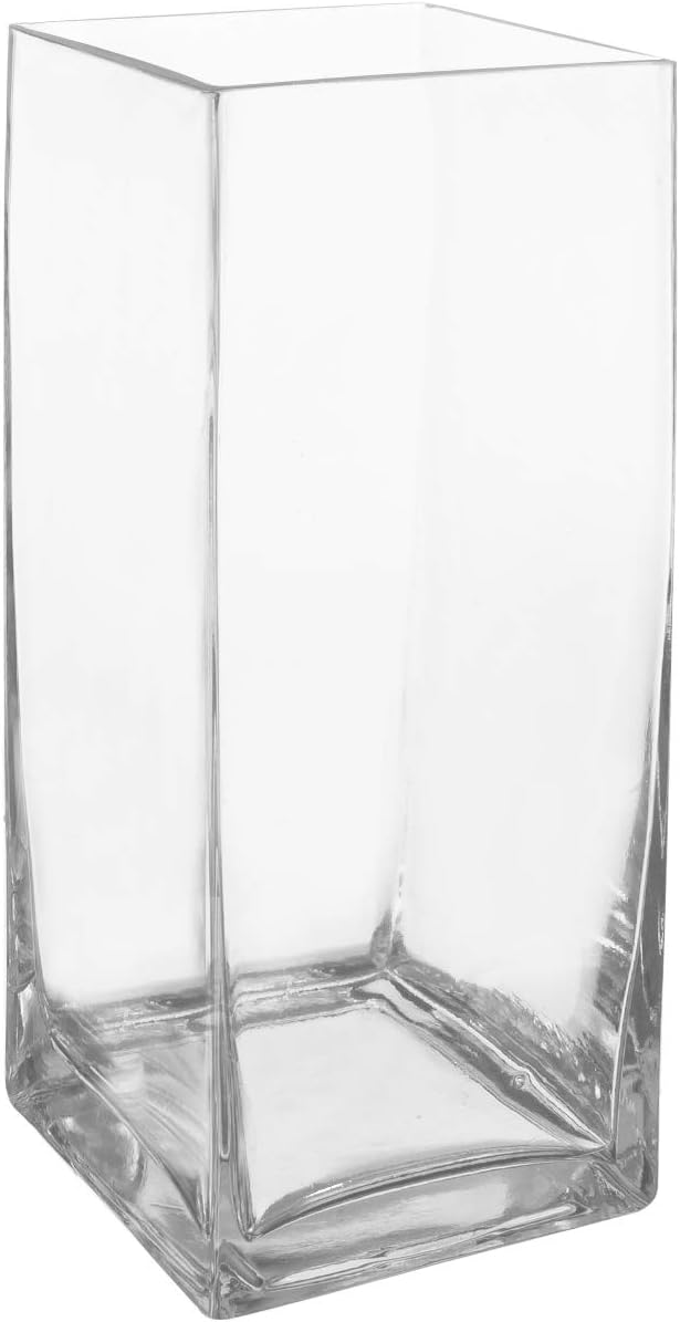 Royal Imports clear glass floral vase displayed in a home living room