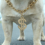 LUVMOJO pet luxury jewelry chain packaging and product detail view