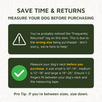 SpotOn GPS virtual dog fence setup for medium breed dog training