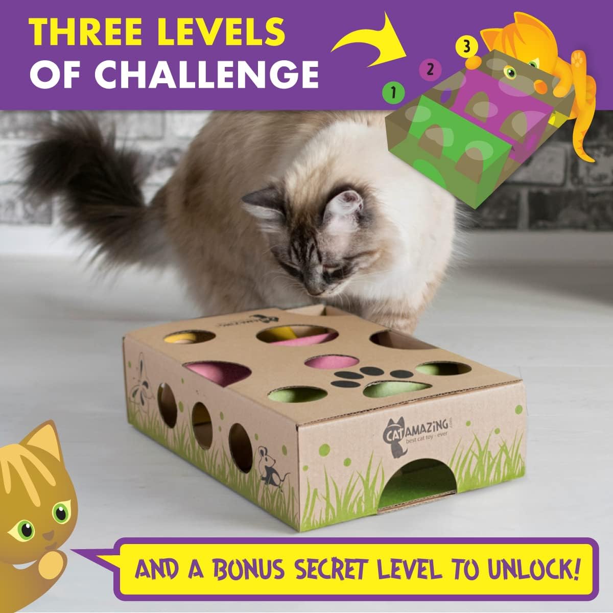 Top down view of the three difficulty levels in the Cat Amazing interactive food maze for cats.