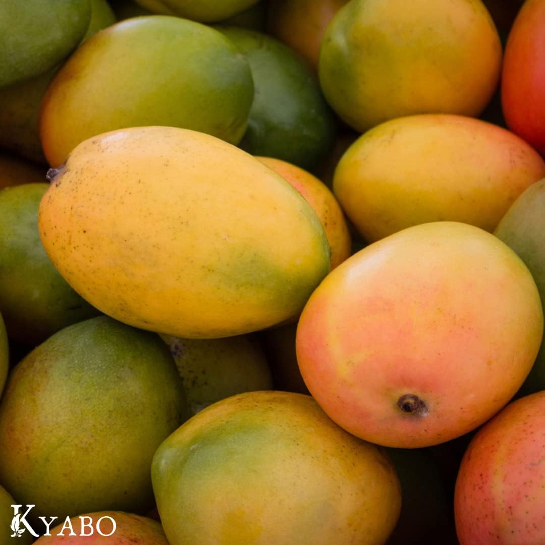 Kyabo natural skin moisturizer lifestyle shot