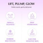 EQQUALBERRY Bakuchiol Plumping Capsule Cream ingredient highlights infographic