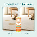 Puracy enzyme cleaner spray bottle for carpets