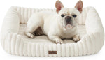 Orthopedic Dog Bed for Small Dogs & Cats - Washable Rectangle Pet Bed with Anti-Slip Bottom, Soft Calming Cat & Puppy Bed for Indoor Pets (25"x21"x6", Cream) - Image 12