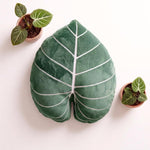 Microplush cover fabric detail of leaf accent pillow