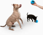 Jolly Pets Dipper toy demonstrating texture and material