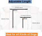Top down view of three dog seat belt colors for car travel.