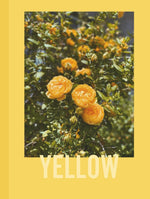 Yellow: Captured in Yellow: A Photographic Exploration (The Color Studies) - Image 1