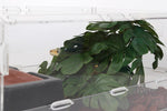 Top down view of Woledoe artificial monstera leaves