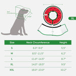 Detachable high transparency shield removed from sponge dog collar