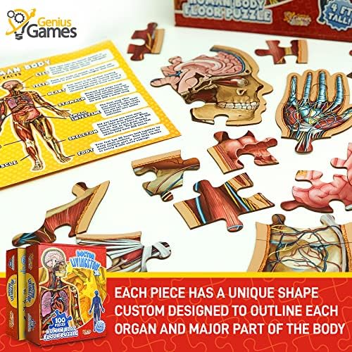 Anatomy reference guide included with the one hundred piece jigsaw puzzle set