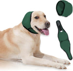 Papiamen dog ear cover green medium front view on a calming pet